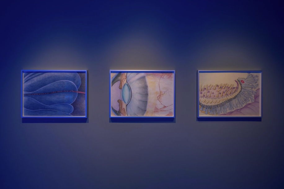 Screenshot 2025-07-09 at 12.00.12.jpg